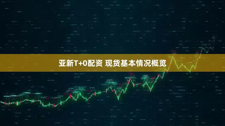 亚新T+0配资 现货基本情况概览