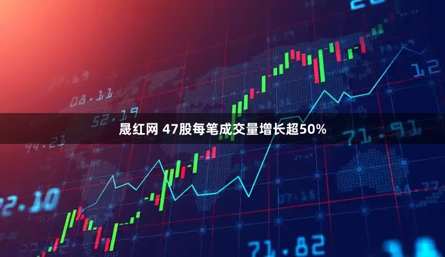 晟红网 47股每笔成交量增长超50%