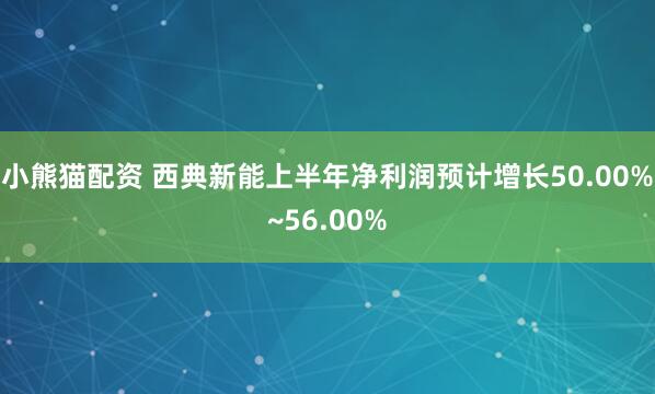 小熊猫配资 西典新能上半年净利润预计增长50.00%~56.00%
