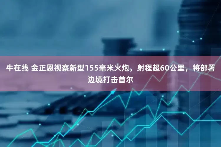 牛在线 金正恩视察新型155毫米火炮，射程超60公里，将部署边境打击首尔